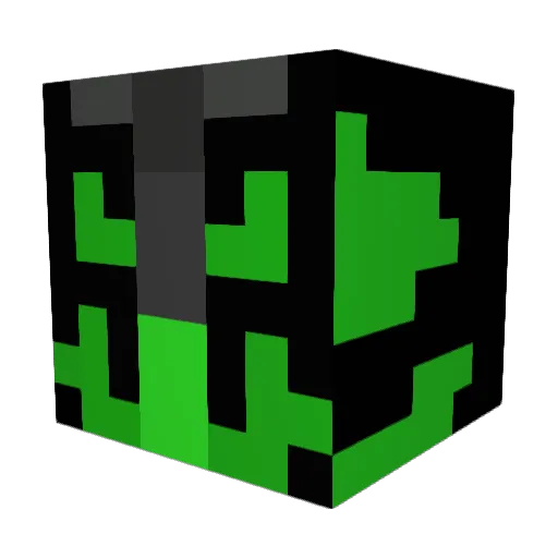 Riank3 Minecraft avatar head, 3D render