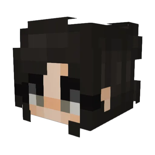 Rianne_h Minecraft avatar head, 3D render