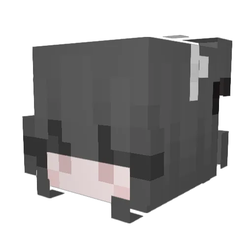 Riannq Minecraft avatar head, 3D render