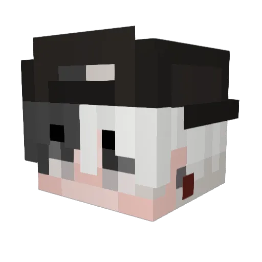 Riataparada Minecraft avatar head, 3D render