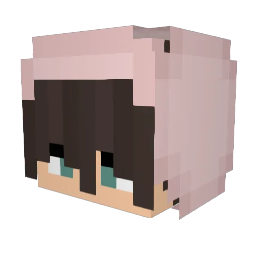 RibCountry Minecraft avatar head, 3D render