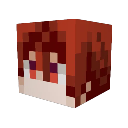 RibSo Minecraft avatar head, 3D render