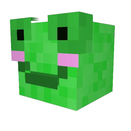 RibbitTheFroggo Minecraft avatar head, 3D render