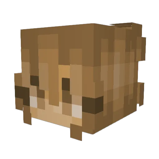 Ribble35 Minecraft avatar head, 3D render