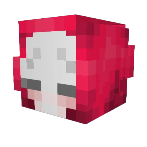 RibboSan Minecraft avatar head, 3D render