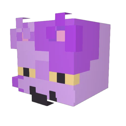 Ribcoin Minecraft avatar head, 3D render