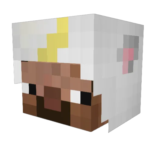 Ribelfy Minecraft avatar head, 3D render