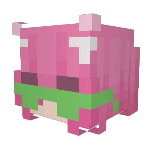 Riber00 Minecraft avatar head, 3D render