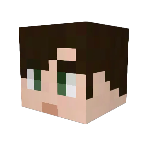 Ribinski Minecraft avatar head, 3D render