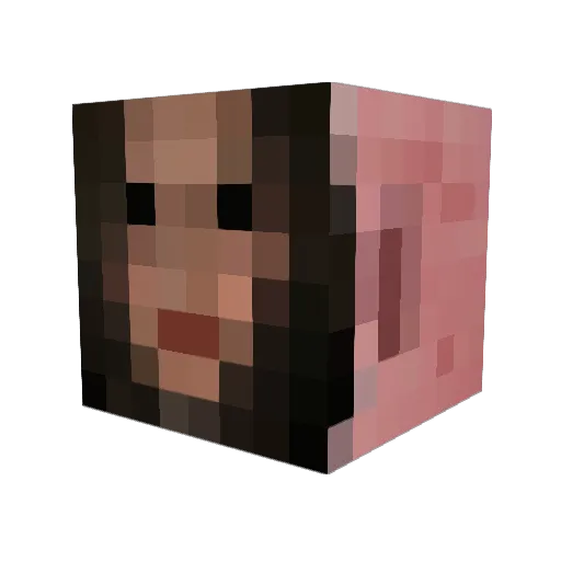 Ribitas Minecraft avatar head, 3D render