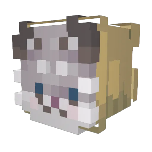 Ribtide Minecraft avatar head, 3D render