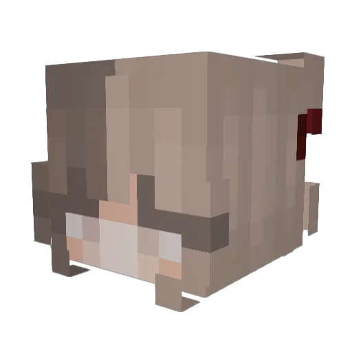 Ric4rdovich Minecraft avatar head, 3D render