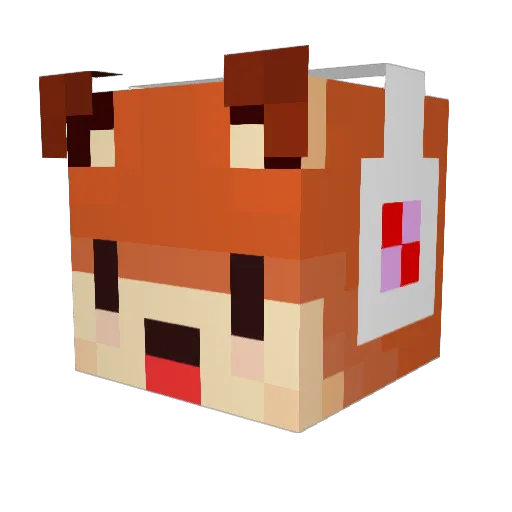 RicD Minecraft avatar head, 3D render