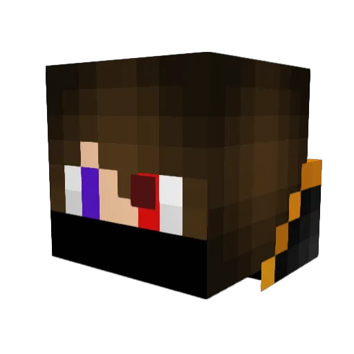 RicGaming1903 Minecraft avatar head, 3D render