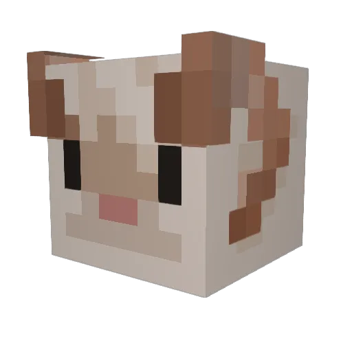 RicanRookie Minecraft avatar head, 3D render
