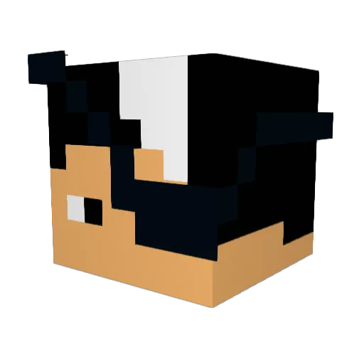 Ricapvp Minecraft avatar head, 3D render