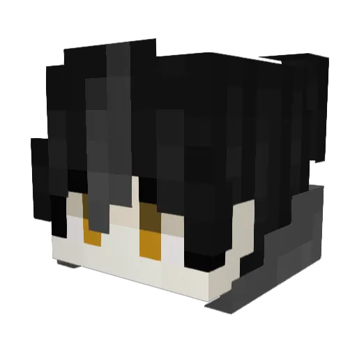 RicarJun Minecraft avatar head, 3D render