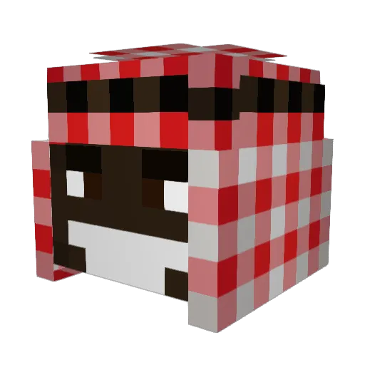 RicarTamplier Minecraft avatar head, 3D render
