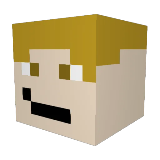 Ricardo67 Minecraft avatar head, 3D render