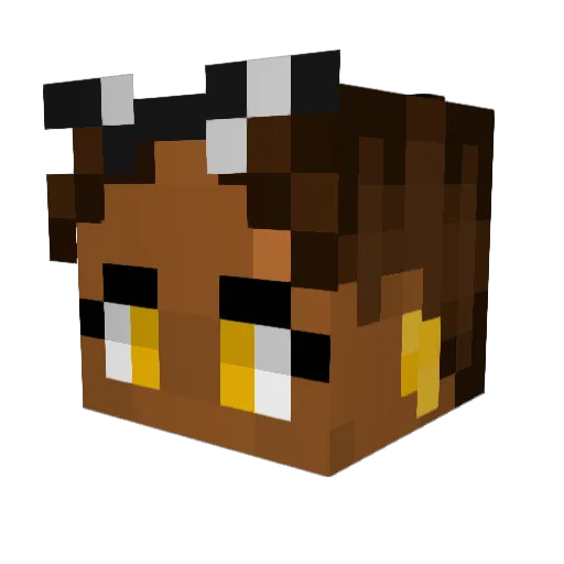 Ricardo88888 Minecraft avatar head, 3D render