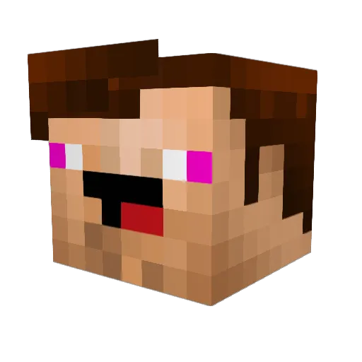 Ricarru Minecraft avatar head, 3D render