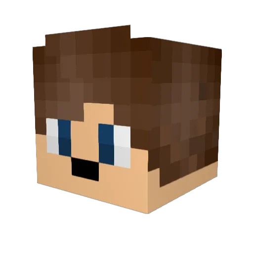 Ricart64 Minecraft avatar head, 3D render