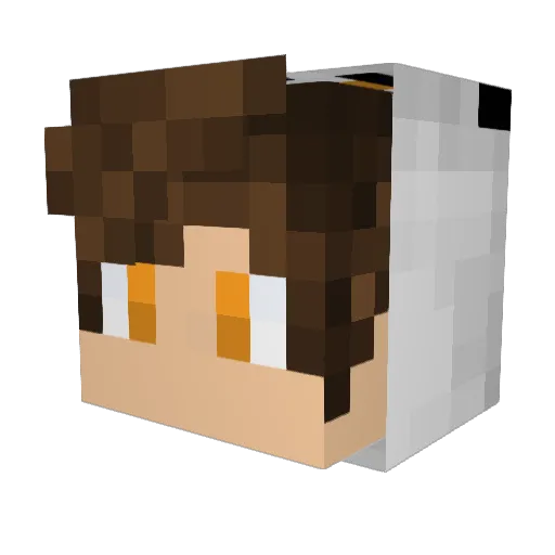 RiccardiFN Minecraft avatar head, 3D render