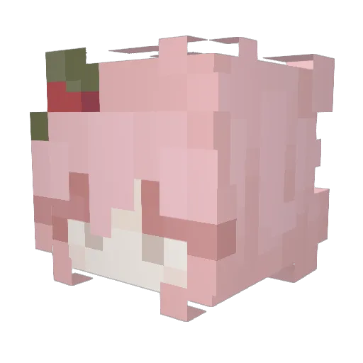Riccccce Minecraft avatar head, 3D render