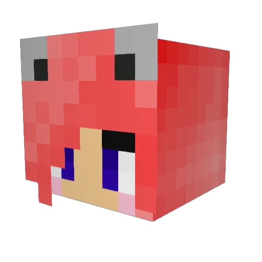 Ricci2013 Minecraft avatar head, 3D render