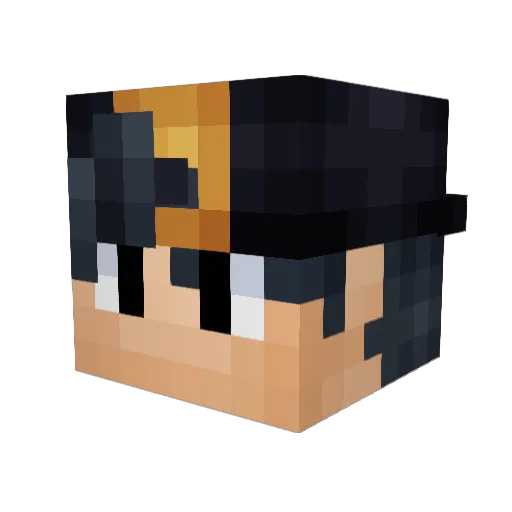Ricci_Palme Minecraft avatar head, 3D render