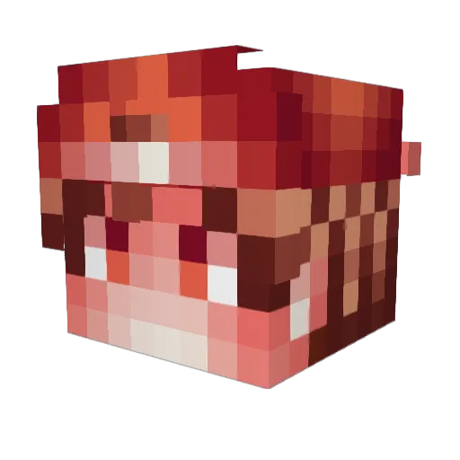 Ricco101 Minecraft avatar head, 3D render