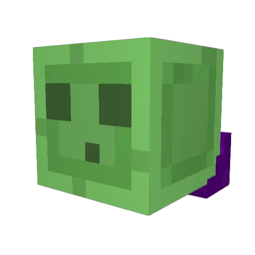 Rice11 Minecraft avatar head, 3D render