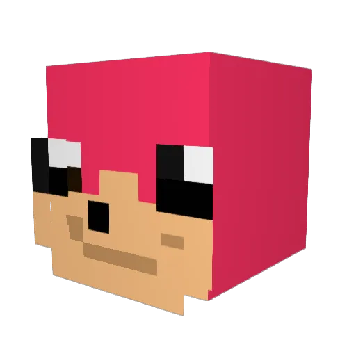 Rice317 Minecraft avatar head, 3D render