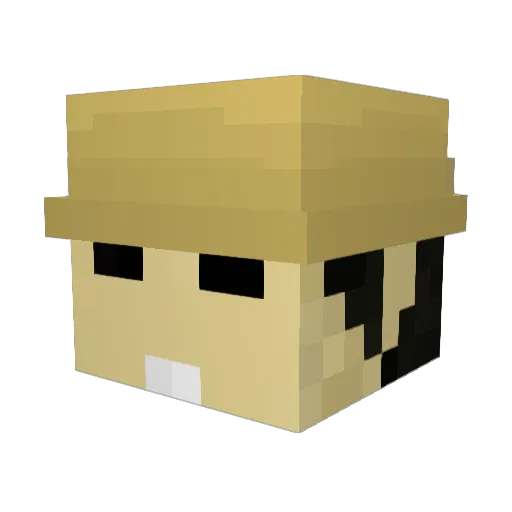 Rice3757 Minecraft avatar head, 3D render