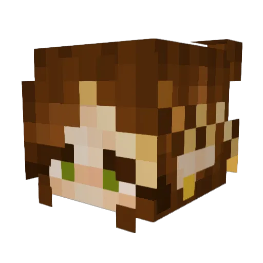 RiceAndMiho Minecraft avatar head, 3D render