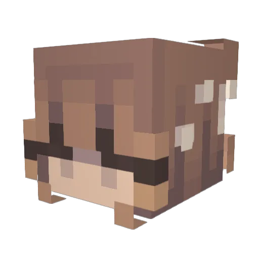 RiceBlueBoy Minecraft avatar head, 3D render