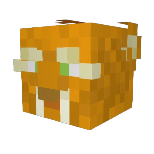 RiceCake2323 Minecraft avatar head, 3D render