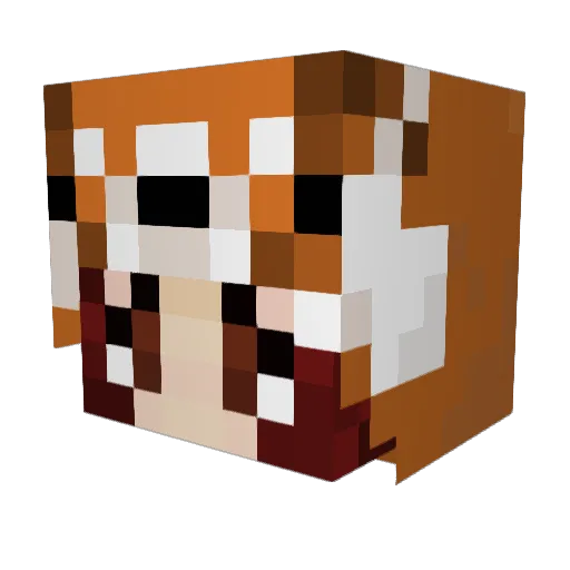 RiceCandyCat Minecraft avatar head, 3D render
