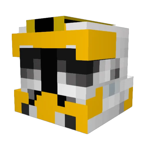 RiceCoolman Minecraft avatar head, 3D render