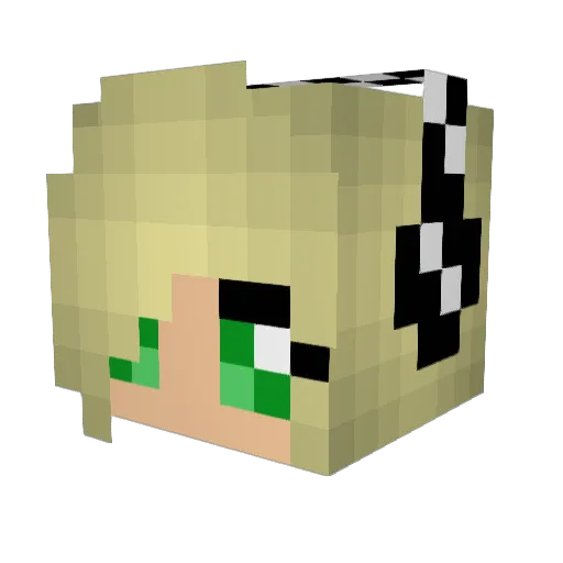 RiceCrispyPop Minecraft avatar head, 3D render