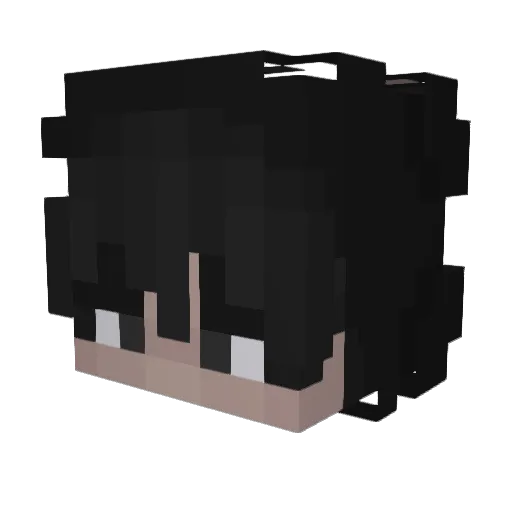 RiceFreek Minecraft avatar head, 3D render