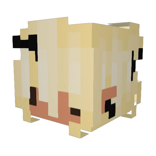 RiceFrog Minecraft avatar head, 3D render