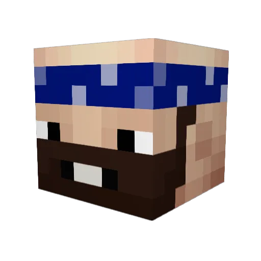 RiceJuice_ Minecraft avatar head, 3D render
