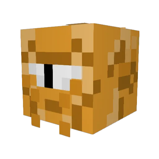 RiceKracker Minecraft avatar head, 3D render