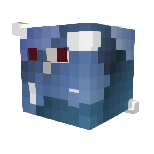 RiceMan1047 Minecraft avatar head, 3D render