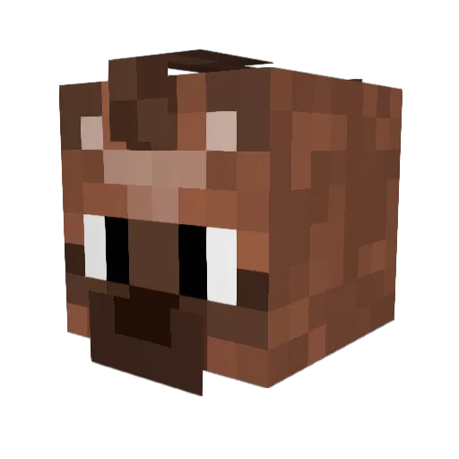 RiceMan93 Minecraft avatar head, 3D render