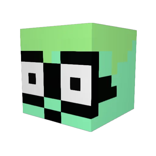 RiceMoneyLain Minecraft avatar head, 3D render