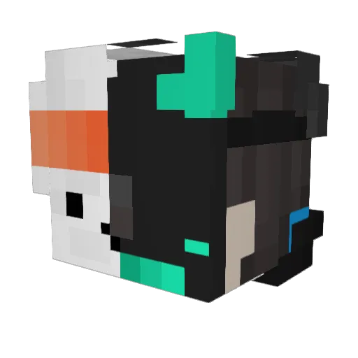 RiceNoodleRamen Minecraft avatar head, 3D render