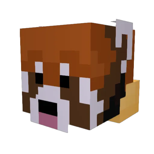 RicePandU Minecraft avatar head, 3D render