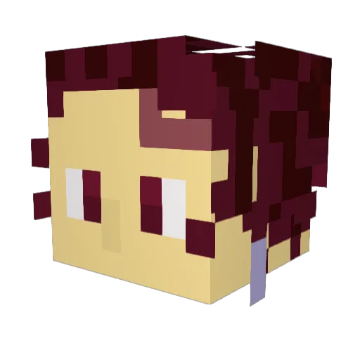 RicePolished Minecraft avatar head, 3D render